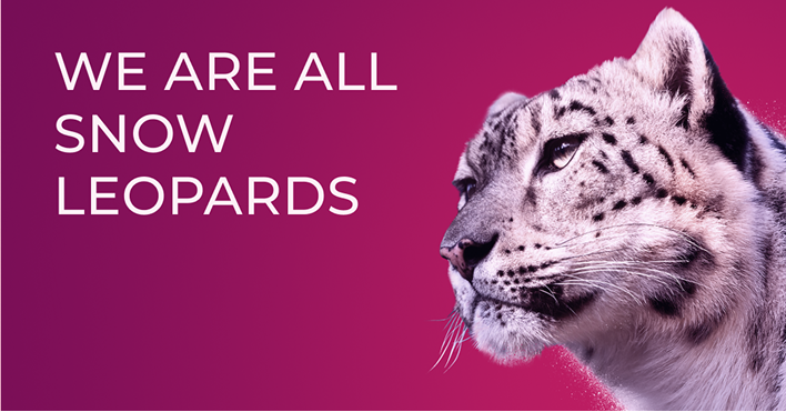 At the Top of the Mountain, We Are All Snow Leopards
